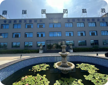 安徽成泰医药科技股份有限公司