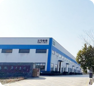 安徽飞马电缆有限公司