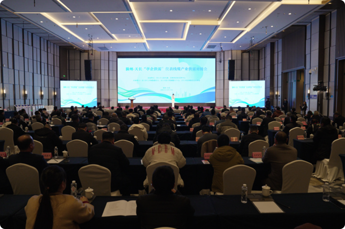 滁州&mdash;天长&ldquo;亭企供需&rdquo;仪表线缆产业专项供需对接会成功举办